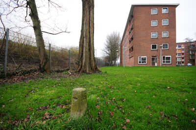 913065 Gezicht op het plantsoen aan de Ina Boudier-Bakkerlaan te Utrecht, met op de voorgrond een ...